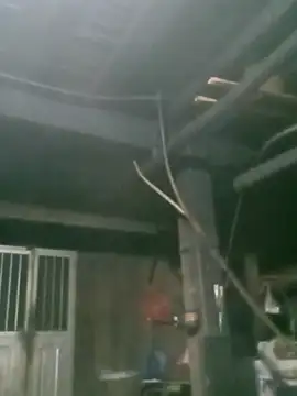 Snapshot of matbiec- chatting on 11/19/25, 10:32 matbiec- online show from 11/19/25, 10:32