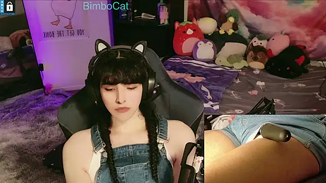 BimboCat online show from 12/14/25, 01:12