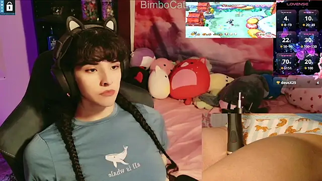 BimboCat online show from 11/20/25, 02:56