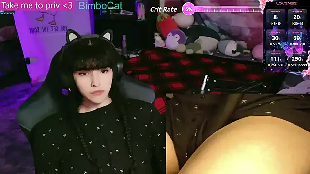 BimboCat online show from 12/16/25, 09:08