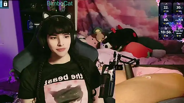 BimboCat online show from 12/01/25, 02:23