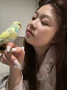 xiaojingzi66 online show from 04/28/26, 05:17