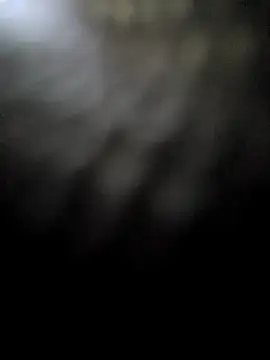 hotestanal online show from 12/16/25, 09:24