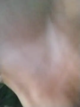 Bbc dunc214 online show from 10/29/25, 09:19