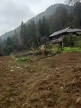 Snapshot of tian7788 chatting on 02/17/26, 02:53 tian7788 online show from 02/17/26, 02:53