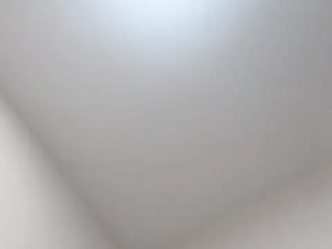 Snapshot of qianxin2007 chatting on 11/04/25, 12:31 qianxin2007 online show from 11/04/25, 12:31