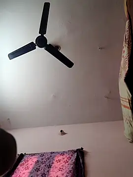 pujapujarrrr online show from 11/09/25, 05:33