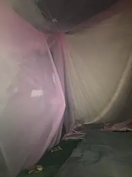 gino-sex online show from 11/28/25, 06:02