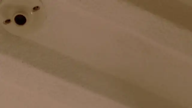 Zara Nova online show from 12/17/25, 11:32