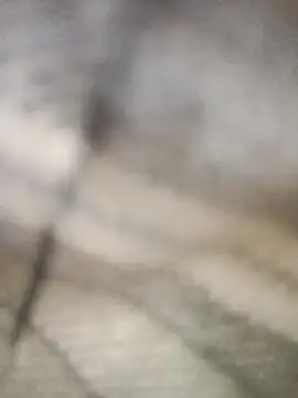 Pallu Asha online show from 03/01/26, 04:23