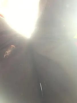 bi-bo123 online show from 01/10/26, 05:03