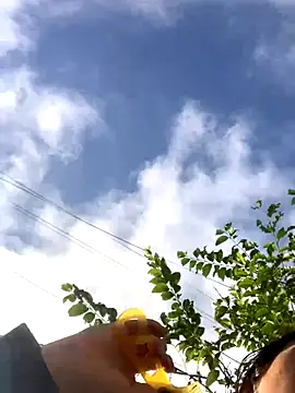 bi-bo123 online show from 11/23/25, 01:26