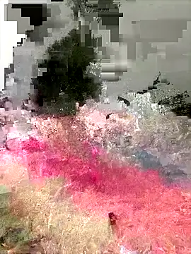 Snapshot of Ckinetor chatting on 12/20/25, 03:15 Ckinetor online show from 12/20/25, 03:15