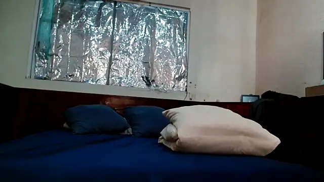 Kia mx online show from 03/01/26, 09:48