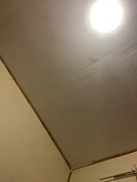 gatitaamelosa online show from 04/25/26, 11:02