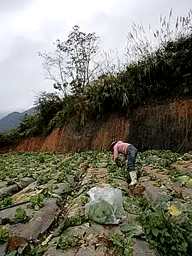 min nyny online show from 11/21/25, 01:26