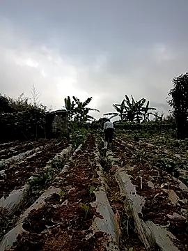 min nyny online show from 12/04/25, 08:35