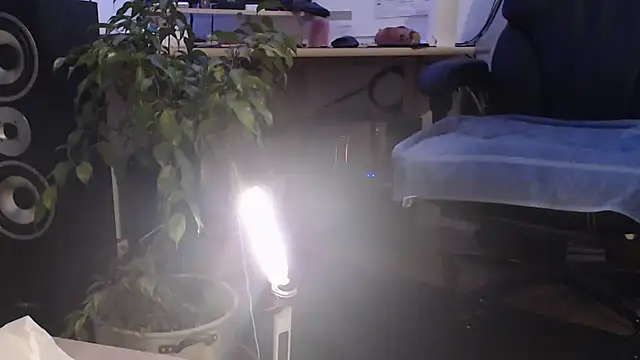 metalhead1970xh online show from 02/08/25, 06:33