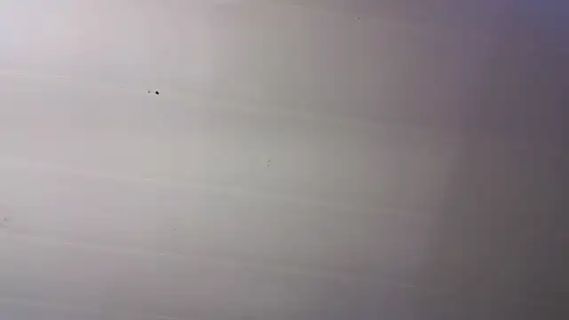 malen fitnessmilf online show from 03/23/26, 11:43