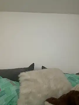 Ania rose online show from 02/07/26, 05:54