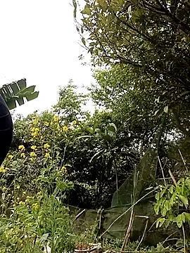 Alice-567 online show from 03/10/26, 06:28