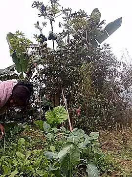 Alice-567 online show from 01/11/26, 09:27