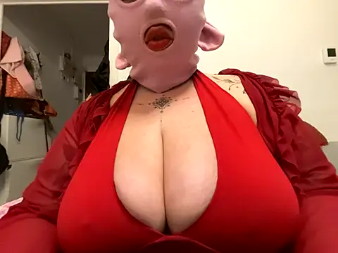 Shy piggyy online show from 11/06/25, 09:41