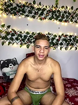 Dylams maja online show from 11/30/25, 10:05