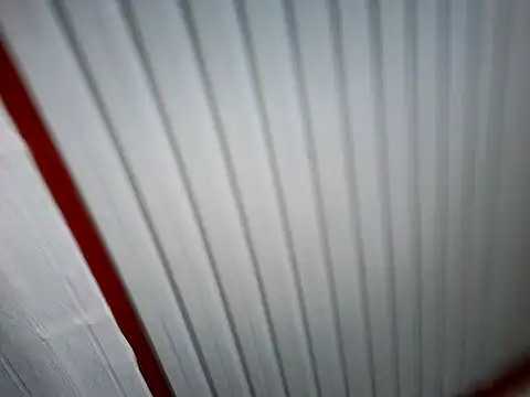 xwildflowerx online show from 03/03/26, 09:22