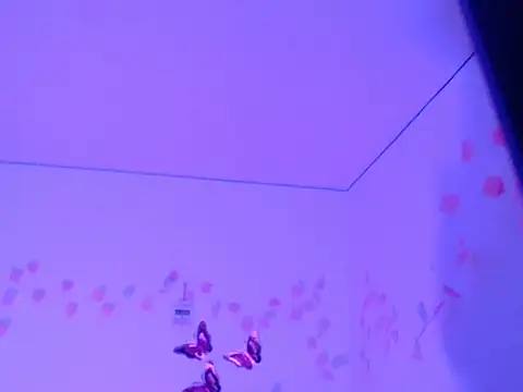 Samanta 777 online show from 11/26/25, 11:21