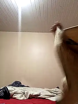 arybiten online show from 02/10/26, 10:14