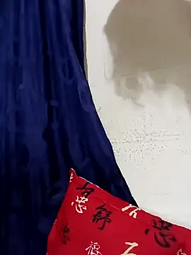 Snapshot of OnixAgata0 chatting on 11/27/25, 02:56 OnixAgata0 online show from 11/27/25, 02:56