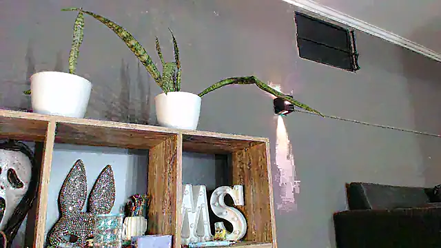 Snapshot of mickystrumia23 chatting on 02/03/26, 07:08 mickystrumia23 online show from 02/03/26, 07:08