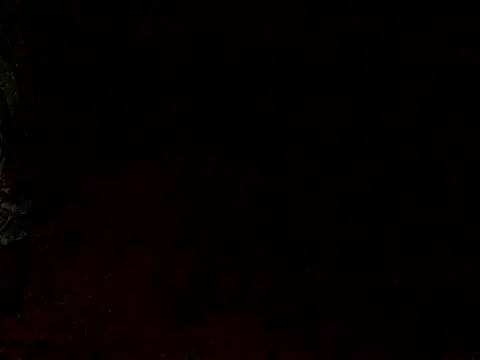 Asstray909 online show from 06/03/26, 07:20