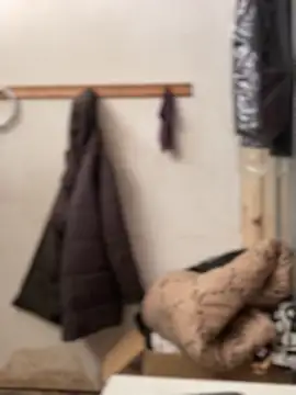 Ndodemnyamaxh online show from 12/23/25, 04:01