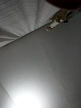 naughtygoddesss  online show from 02/08/26, 04:10