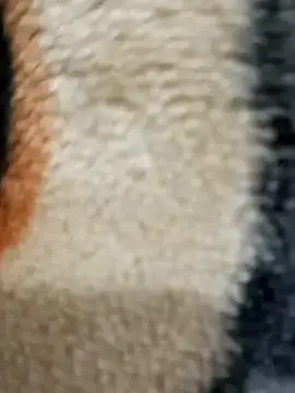 Radhaji88 online show from 11/11/25, 02:12