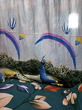 hyd couple7878 online show from 12/15/25, 06:30