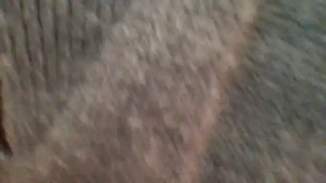 Snapshot of metissjeunn chatting on 02/08/26, 05:43 metissjeunn online show from 02/08/26, 05:43