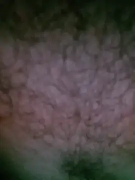 Yerackhip online show from 06/02/26, 11:43