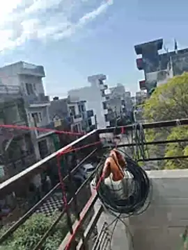 sexychd online show from 12/15/25, 04:40