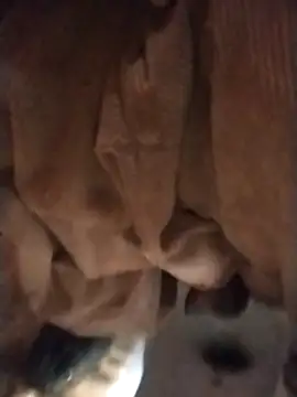 sexychd online show from 12/04/25, 03:05