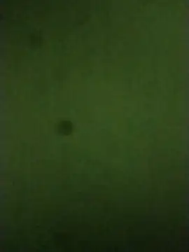 sexychd online show from 12/14/25, 04:51