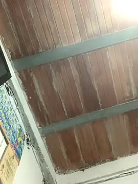 Snapshot of Megan2026 chatting on 11/26/25, 02:55 Megan2026 online show from 11/26/25, 02:55