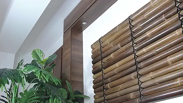 FayeSlate online show from 11/12/25, 05:00