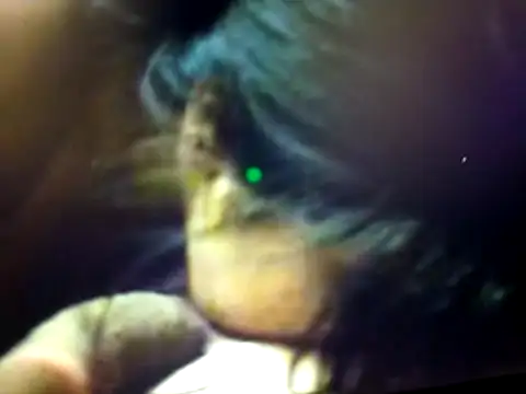 Snapshot of BdTinyDick chatting on 03/19/26, 07:58 BdTinyDick online show from 03/19/26, 07:58