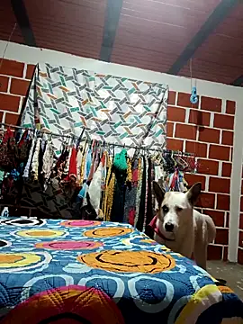 PaulinaLondra2 online show from 12/19/25, 12:07