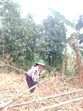 be-yeu online show from 12/02/25, 01:39