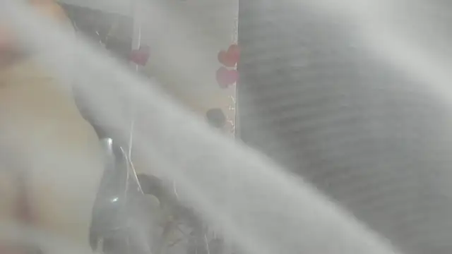 clara heat online show from 03/31/26, 06:54