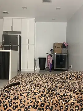 PrincessDreamm online show from 05/14/26, 11:57